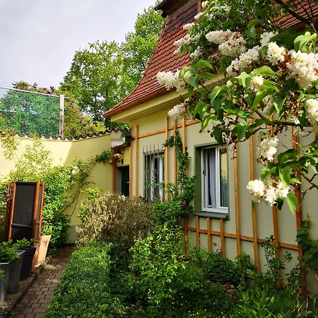 Boutique & Bio Wirtshaus Schwarzer Bock